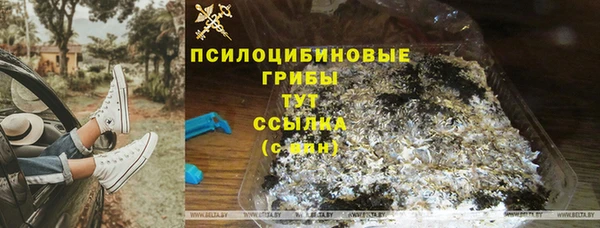 кокс Инсар
