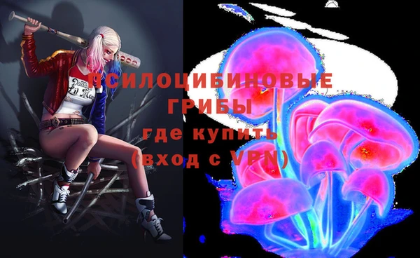 мдма Каменка