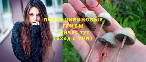 мдма Каменка